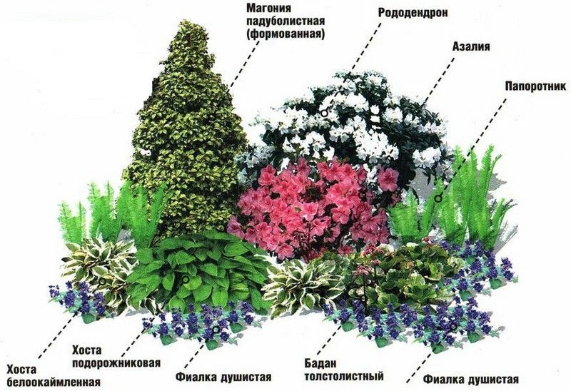 Малоуходный цветник схема